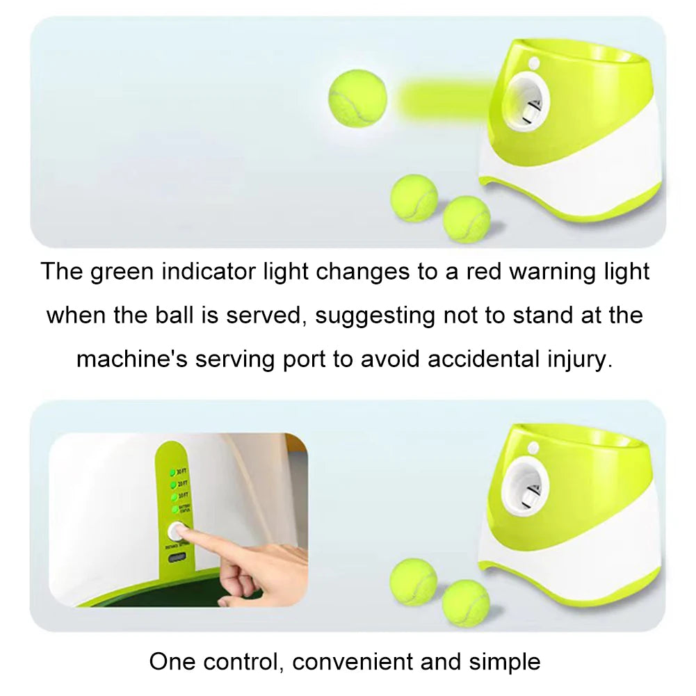 Automatic Dog Ball Launcher With 3 Tennis Balls