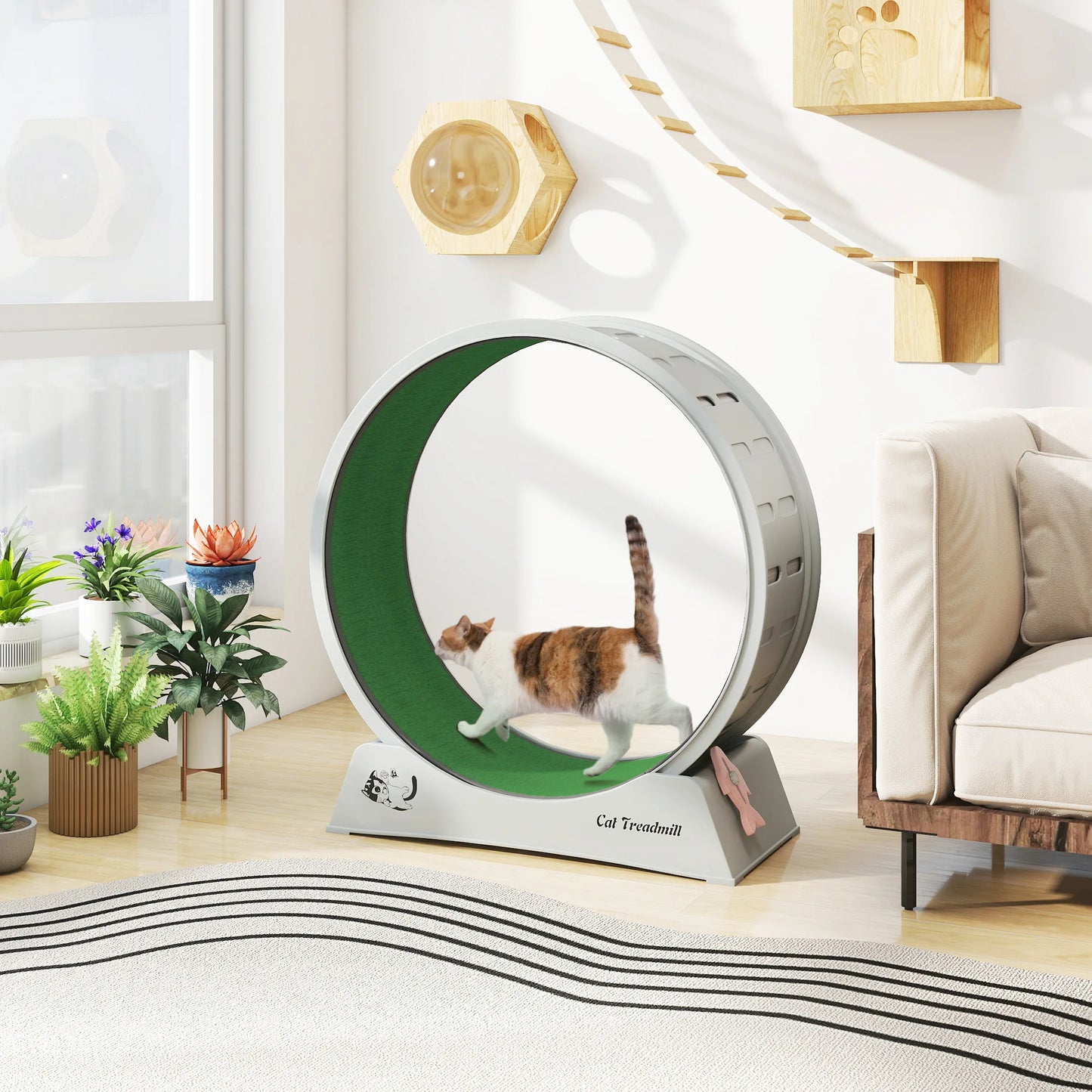 Cat Wheel for Indoor Cats Large Exercise Running Wheel Cat Treadmill with Brake & Carpeted Runway, Easy to Install & Fitness & Health