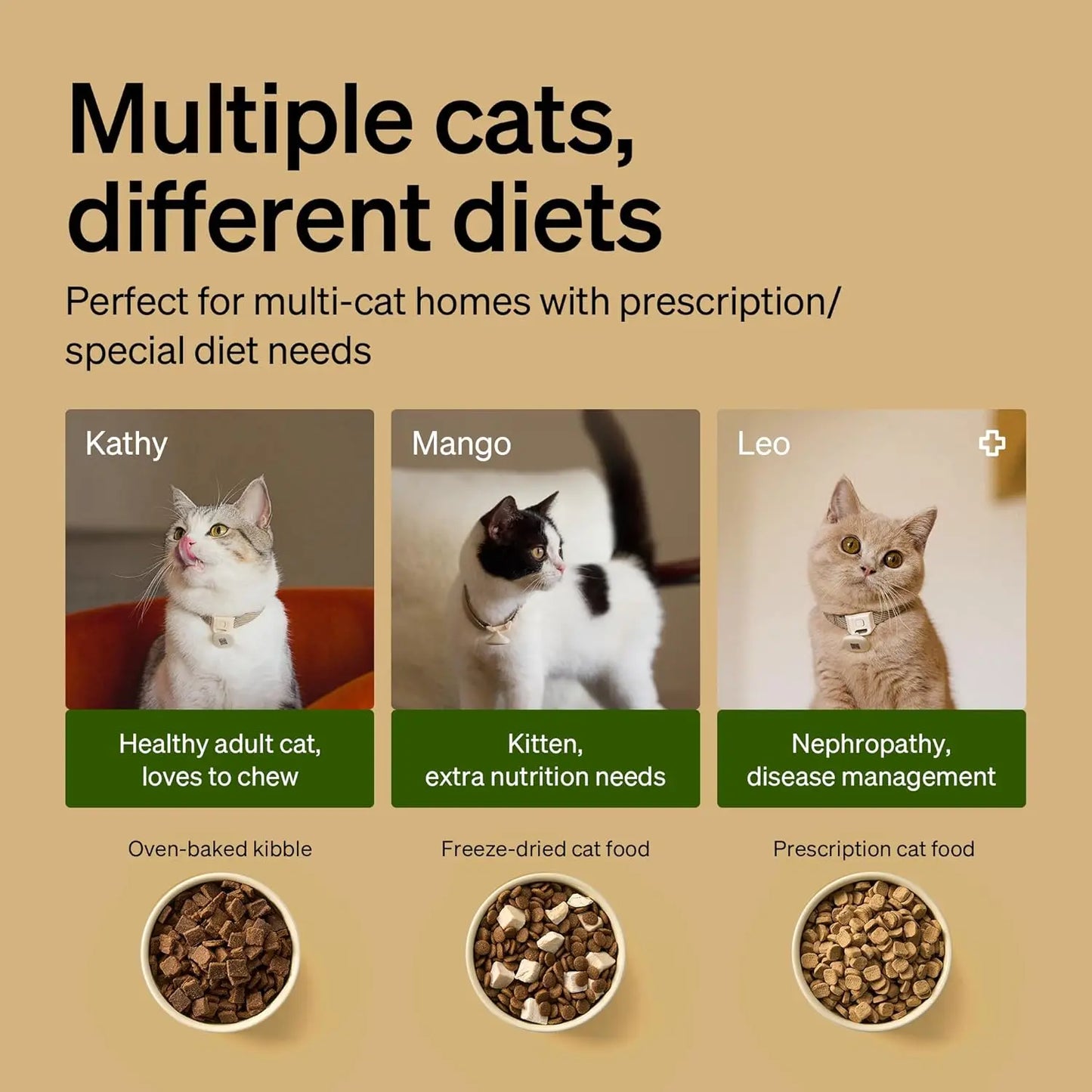 RFID Automatic Cat Feeder with Wi-Fi, Personalized Meals via Collar Tag, Diet Tracking for Multi-Pet Homes