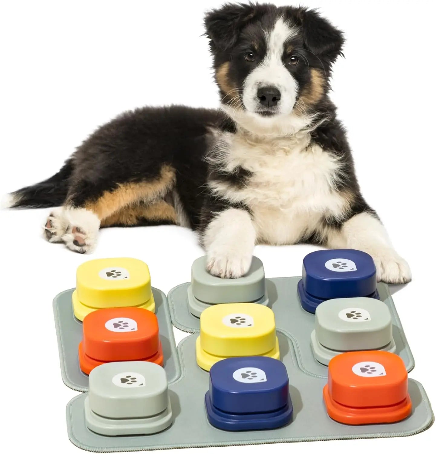 MEWOOFUN Dog Talking Buttons With Rubber Mat Recordable Starter Pack