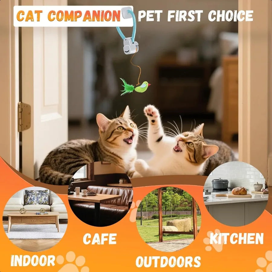 CN Guangdong Interactive Cat Toy Flying Bird Feather Wand for Indoor Cats Enrichment and Play