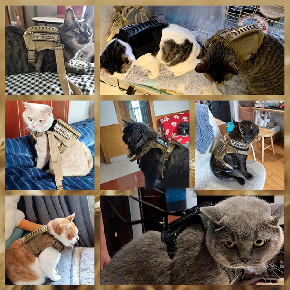 Petravel Tactical Cat Harness Leash With 9 Patches Adjustable Pet Vest Harness For Cats