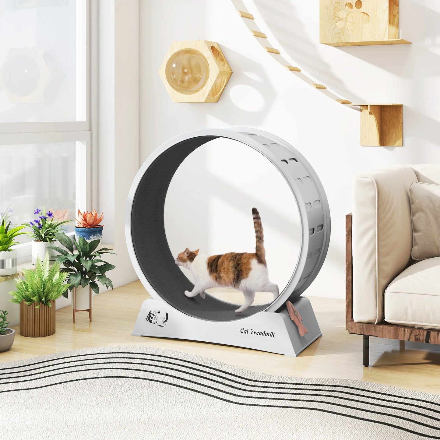 Cat Wheel for Indoor Cats Large Exercise Running Wheel Cat Treadmill with Brake & Carpeted Runway, Easy to Install & Fitness & Health