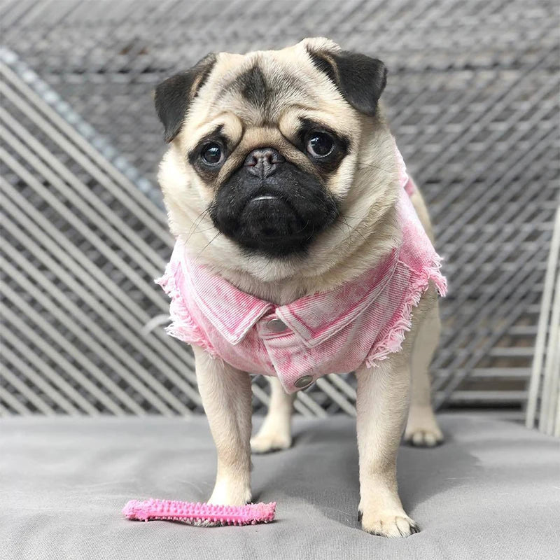 Denim Jeans Jacket For Dogs And Cats