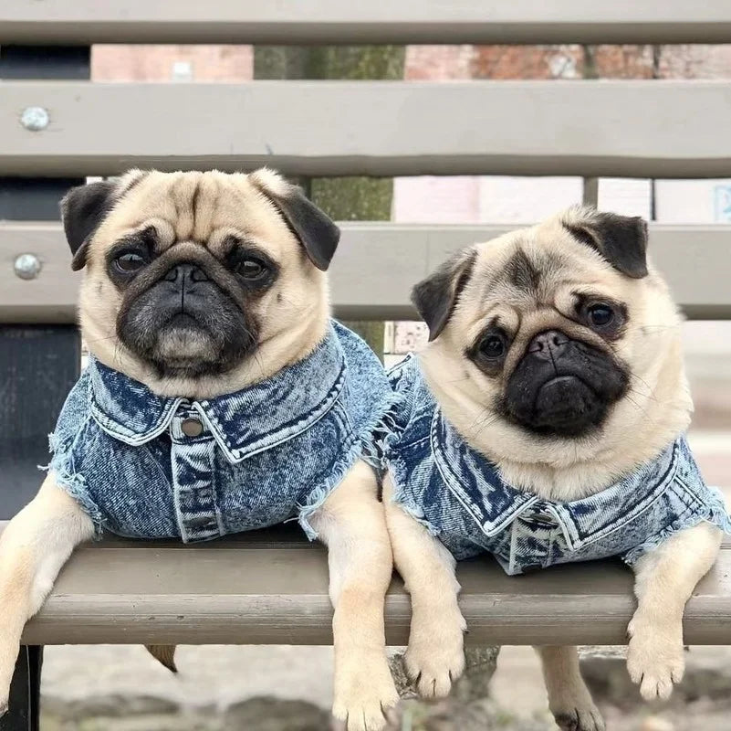 Denim Jeans Jacket For Dogs And Cats