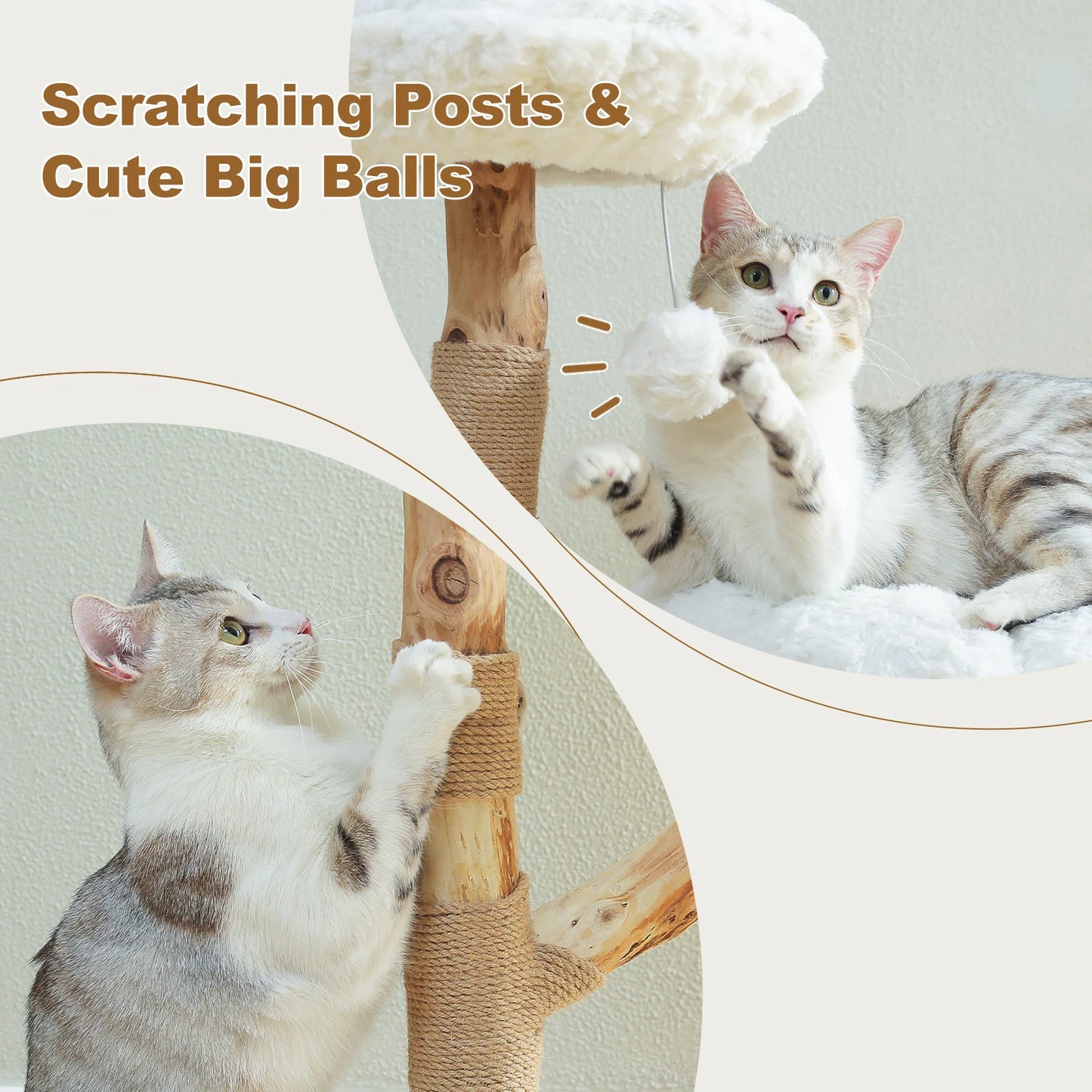PAWZ Road Flower Cat Tree for Indoor Cats with Perches