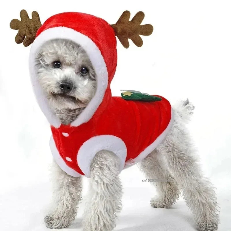 Guangdong Christmas Dog Costume Antlers Hoodie For Small Dogs