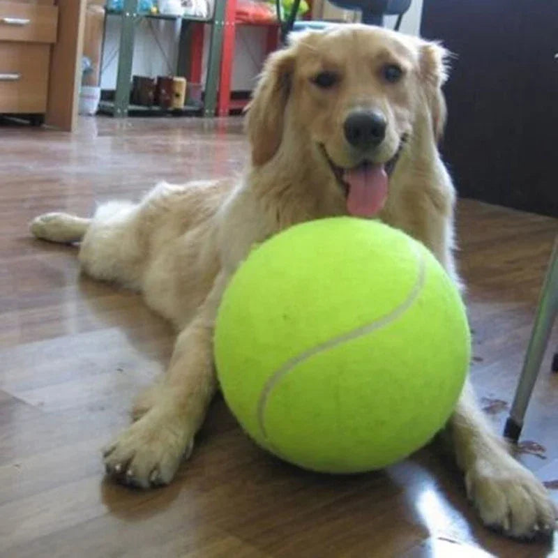 Shunmaii UltraDurable IndustrialStrength AllTerrain Tennis Ball Dog Chew Toy Outdoor