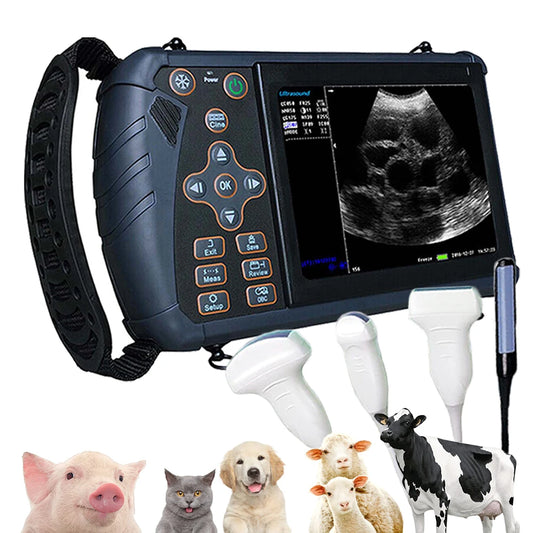 DAWEI Portable Veterinary Ultrasound Scanner B Ultra Pregnancy Machine