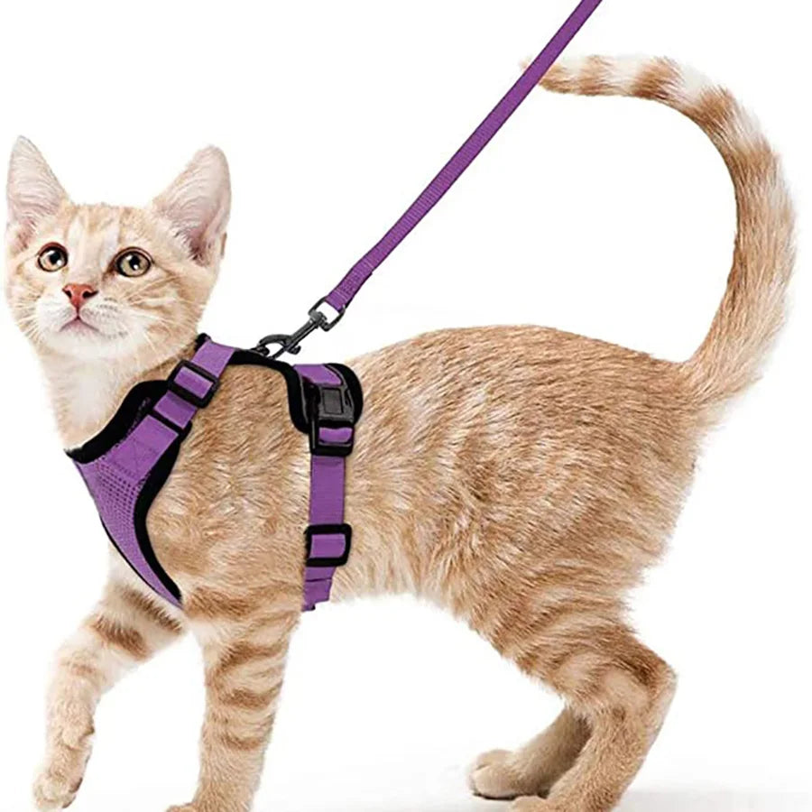 Cat Harness and Leash for Walking Escape Proof Adjustable Vest