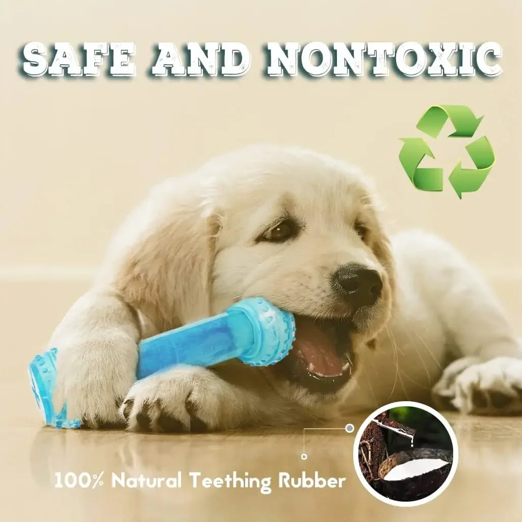 Summer Dog Chew Toys Teething Balls Durable Frozen Puppy Rubber Bone Toys Teeth Cleaning Bones Chewing Training Pet Supplies