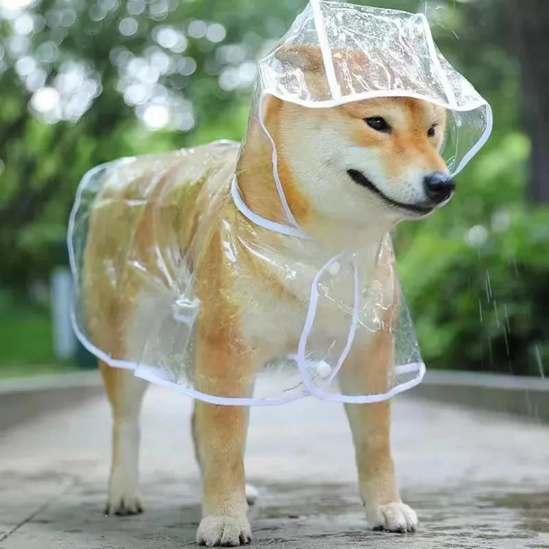 Transparent Hooded Dog Raincoat Waterproof Poncho