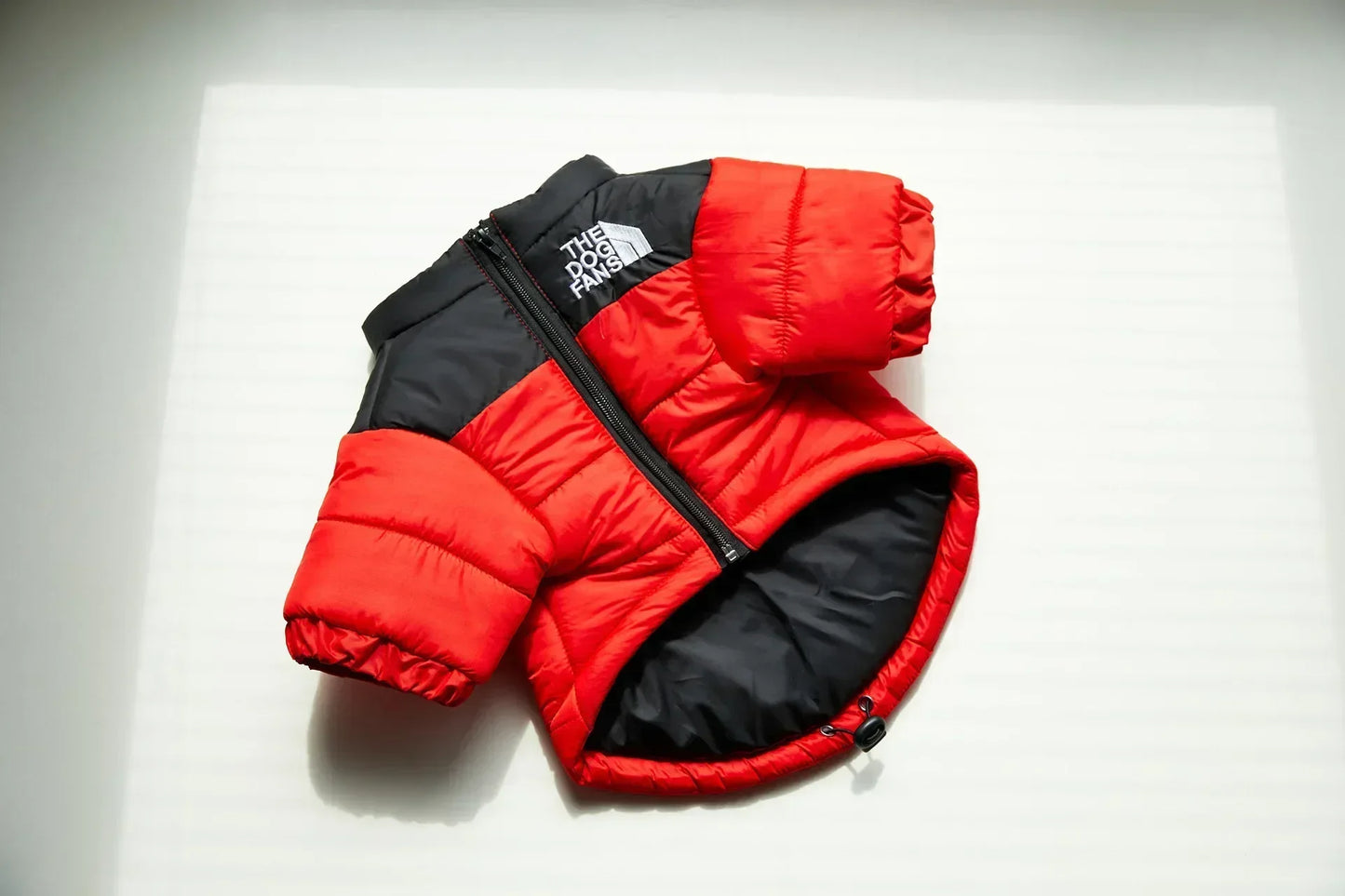 CN Zhejiang Winter Dog Down Jacket Cozy Thick Insulated Coat