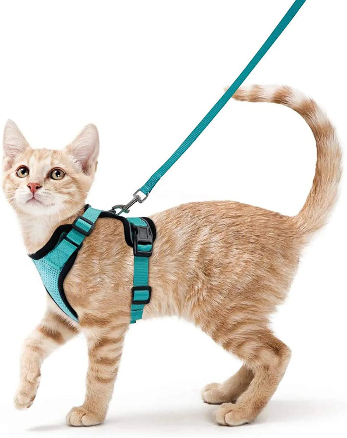 Cat Harness and Leash for Walking Escape Proof Adjustable Vest