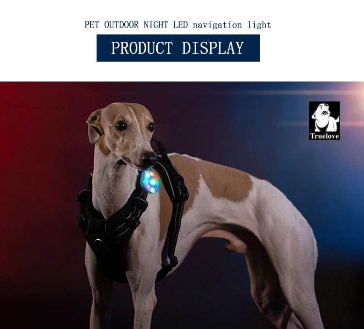 Truelove Pet Night LED TLD19102 Navigation Light Safe and Comfortable Wireless Charging Wear Ropes, Seat Belts Dog Accessories