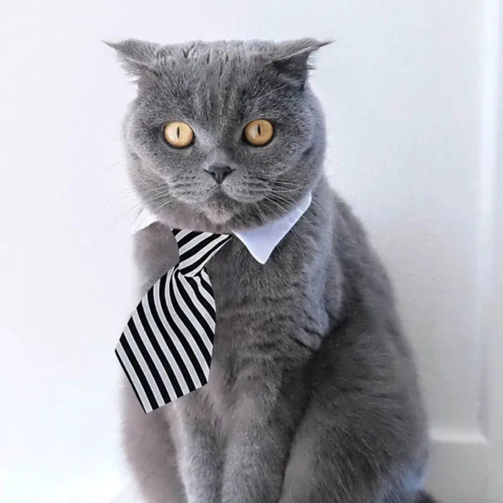 Pet Puppy  Bow Tie Necktie,  Adjustable Pet Neck Tie Costume Formal Dog Collar for Small Dogs and Cats Puppy Ties