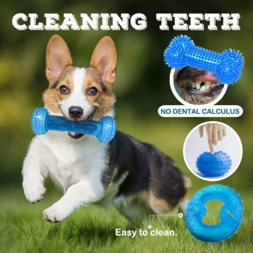Summer Dog Chew Toys Teething Balls Durable Frozen Puppy Rubber Bone Toys Teeth Cleaning Bones Chewing Training Pet Supplies