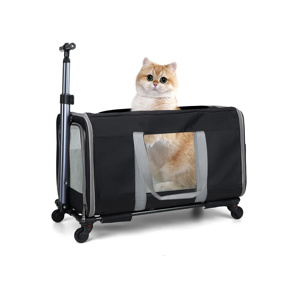 Durable Wheeled Cat Trolley For Two Cats With Belts Travel Carrier For Vet Visits