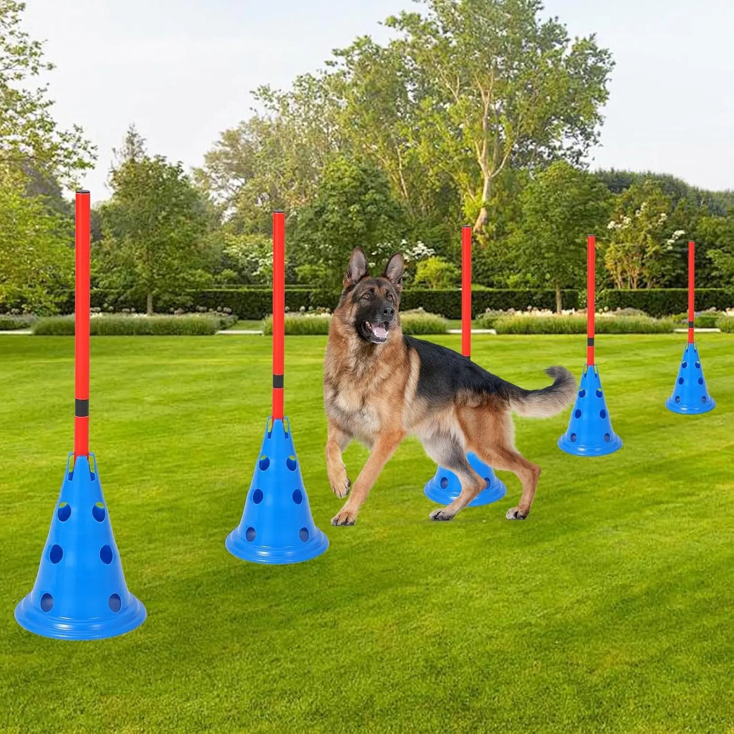 DishyKooker Dog Agility Hurdle Cone Set For Backyard Course With 12 Cones And 6 Rods