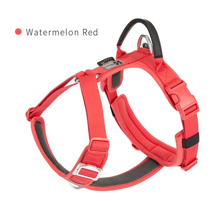 Small Combination No Pull Reflective Dog Harness Vest, Adjustable and Breathable for Outdoor Travel