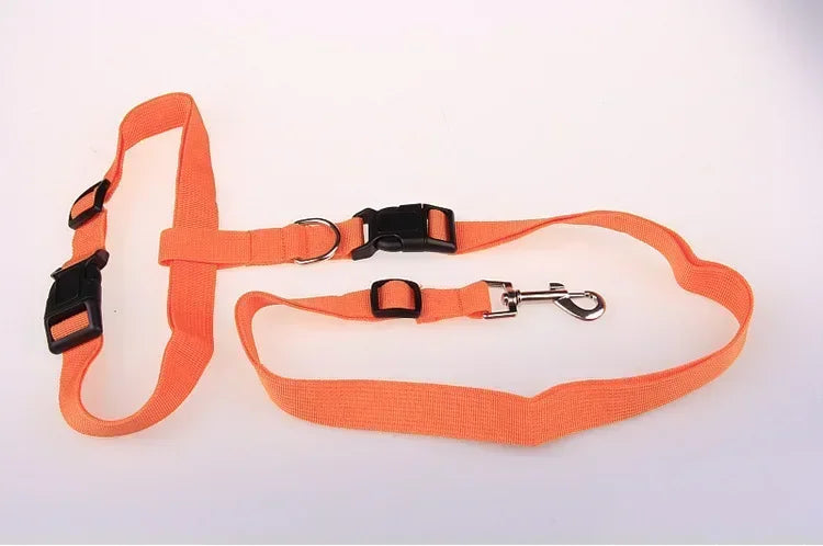 CN Guangdong Chest Hands Adjustable Pet Leash for Walking Dogs Cats