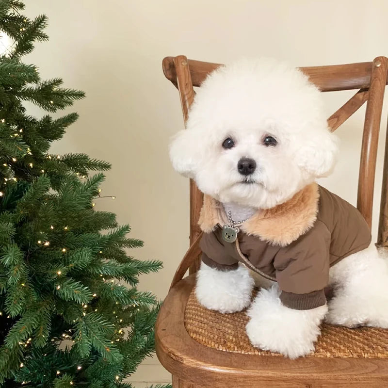 Winter Dog Coat Bear Print Fur Collar Windproof Jacket