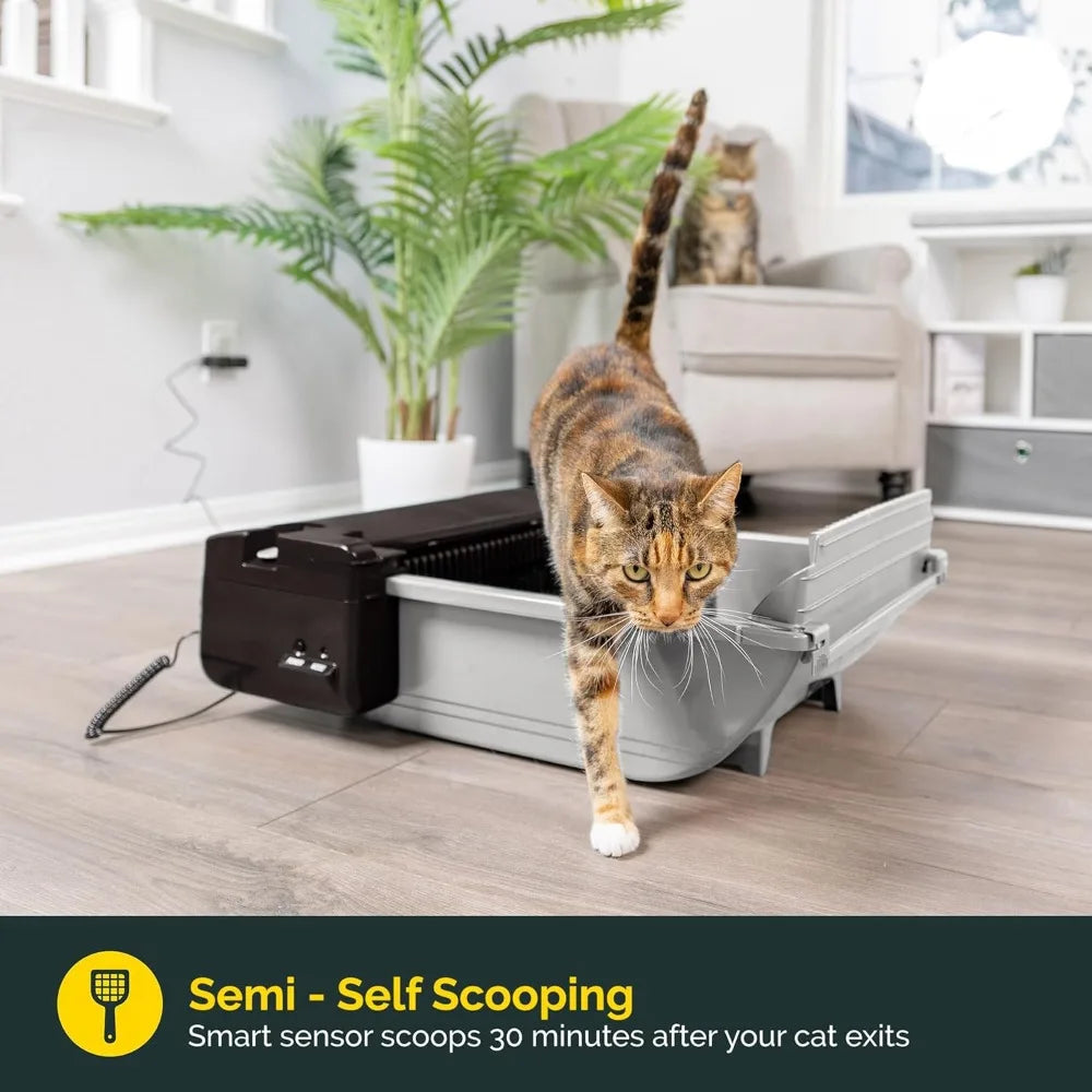 Self Cleaning Semi Automatic Cat Litter Box Scoop Carbon Filter