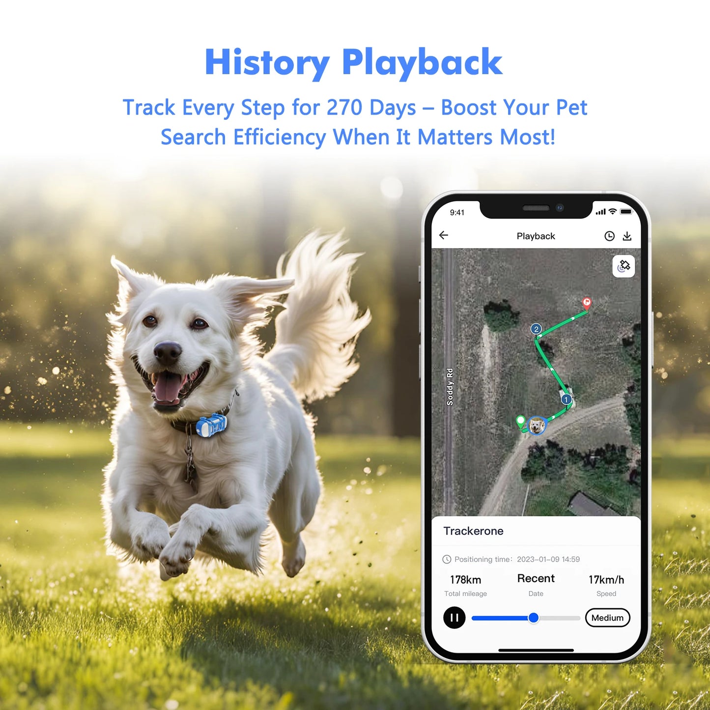 WANWAYTECH 4G Pet GPS Tracker With App Live Tracking