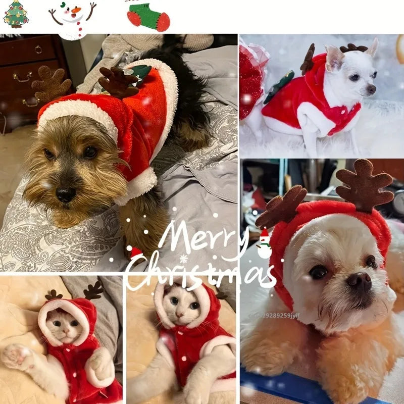 Guangdong Christmas Dog Costume Antlers Hoodie For Small Dogs