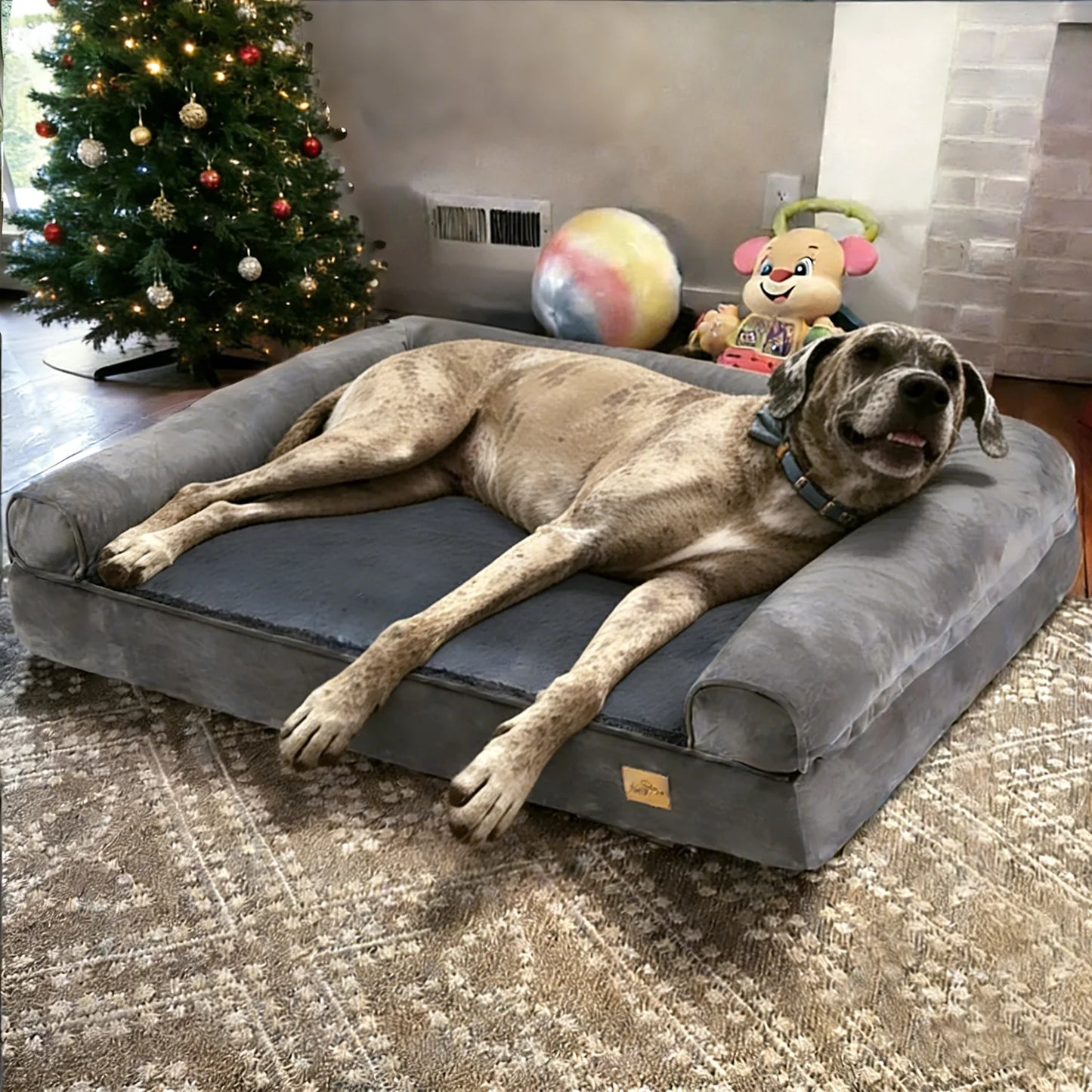 BORWARTCN Calming Orthopedic Memory Foam Dog Bed Removable Cover