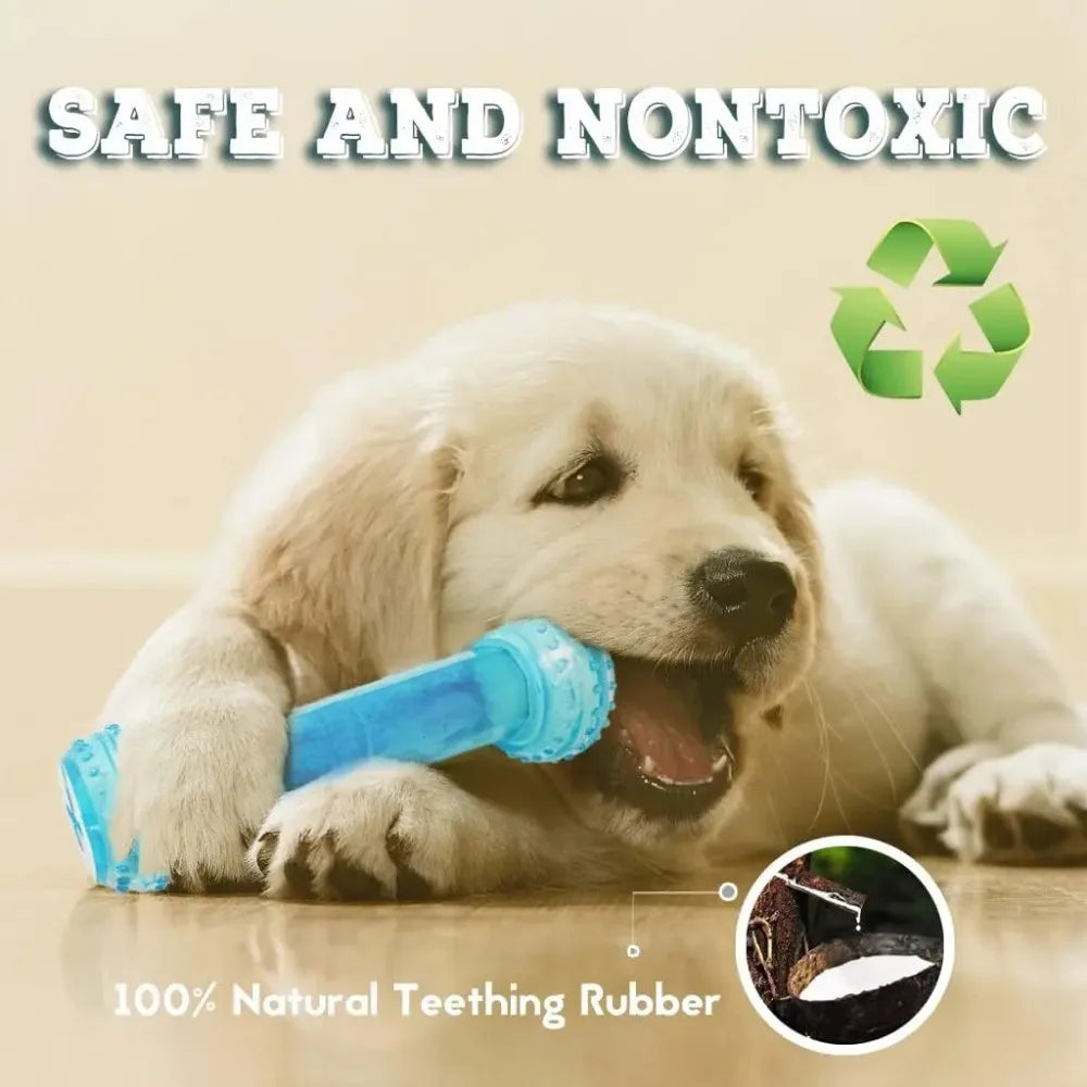 Summer Dog Chew Toys Teething Balls Durable Frozen Puppy Rubber Bone Toys Teeth Cleaning Bones Chewing Training Pet Supplies