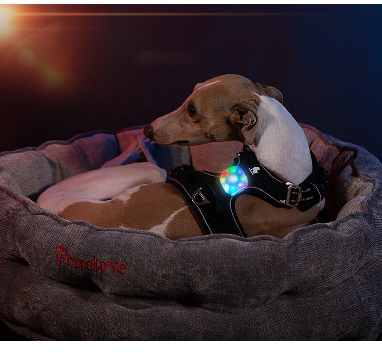 Truelove Pet Night LED TLD19102 Navigation Light Safe and Comfortable Wireless Charging Wear Ropes, Seat Belts Dog Accessories