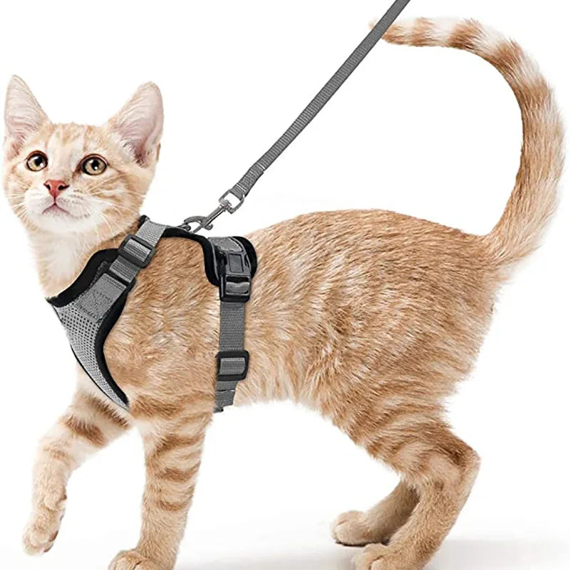 Cat Harness and Leash for Walking Escape Proof Adjustable Vest