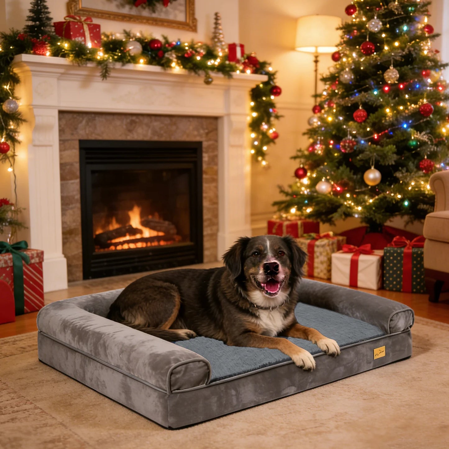 BORWARTCN Calming Orthopedic Memory Foam Dog Bed Removable Cover
