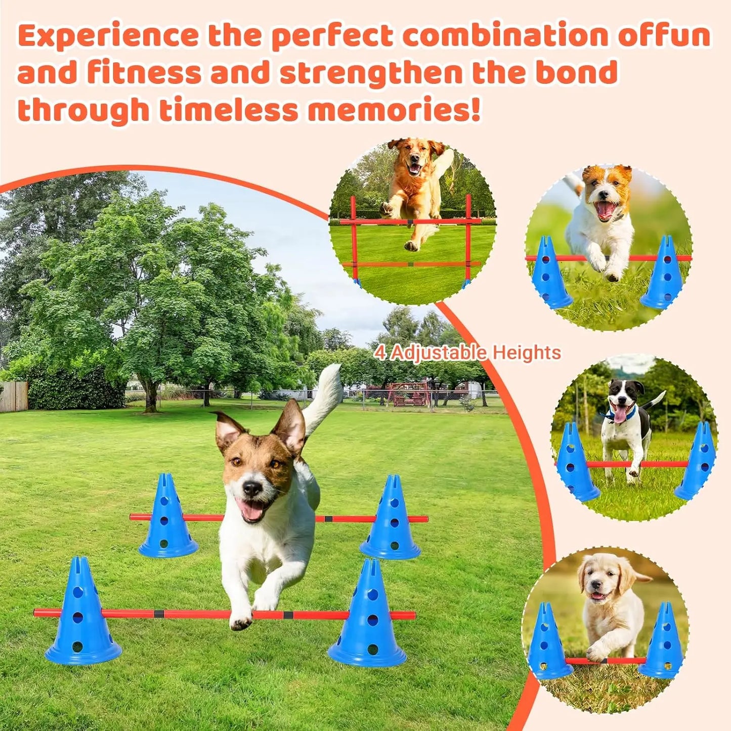 DishyKooker Dog Agility Hurdle Cone Set For Backyard Course With 12 Cones And 6 Rods