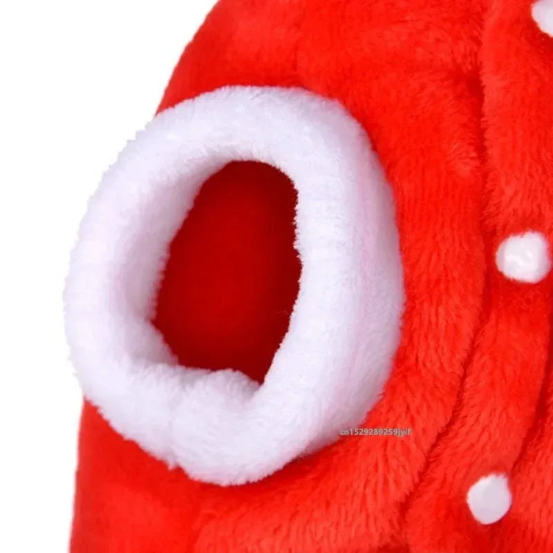 Guangdong Christmas Dog Costume Antlers Hoodie For Small Dogs