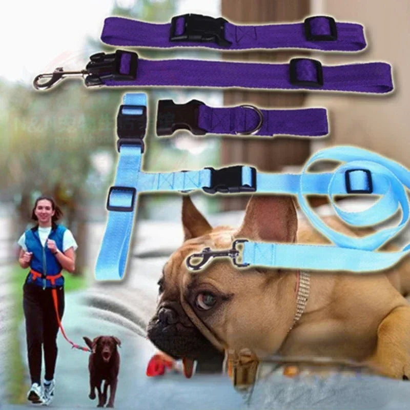 CN Guangdong Chest Hands Adjustable Pet Leash for Walking Dogs Cats