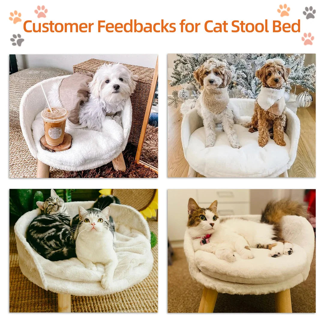 Guangdong UltraLuxurious Plush Cat Bed Nesting Chair Featuring Waterproof Cushioning
