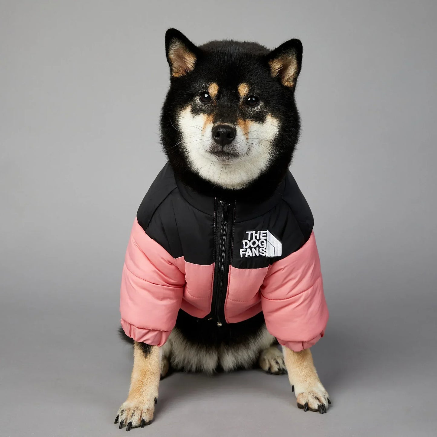 CN Zhejiang Winter Dog Down Jacket Cozy Thick Insulated Coat