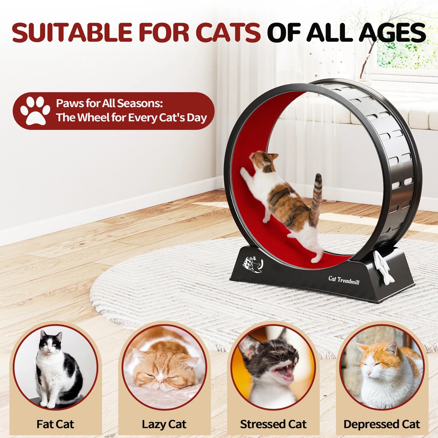 Cat Wheel for Indoor Cats Large Exercise Running Wheel Cat Treadmill with Brake & Carpeted Runway, Easy to Install & Fitness & Health