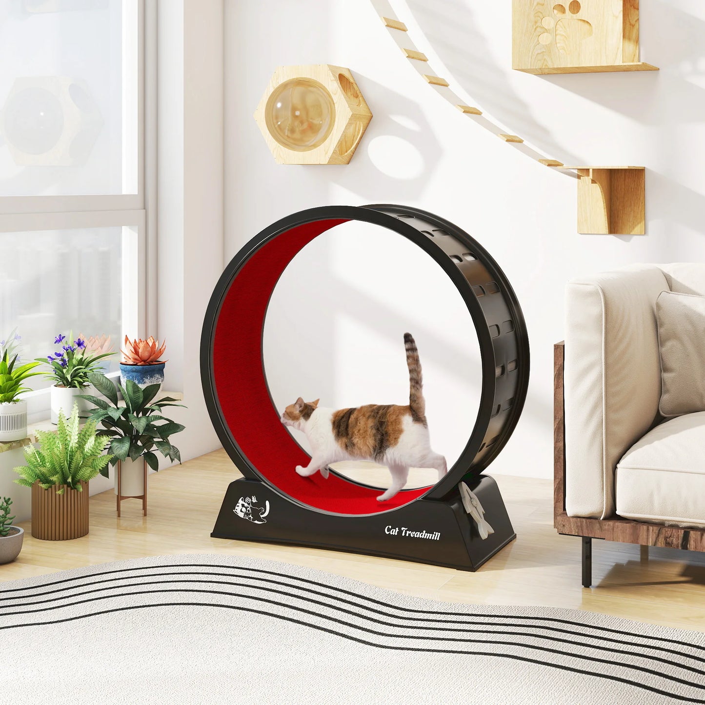 Cat Wheel for Indoor Cats Large Exercise Running Wheel Cat Treadmill with Brake & Carpeted Runway, Easy to Install & Fitness & Health