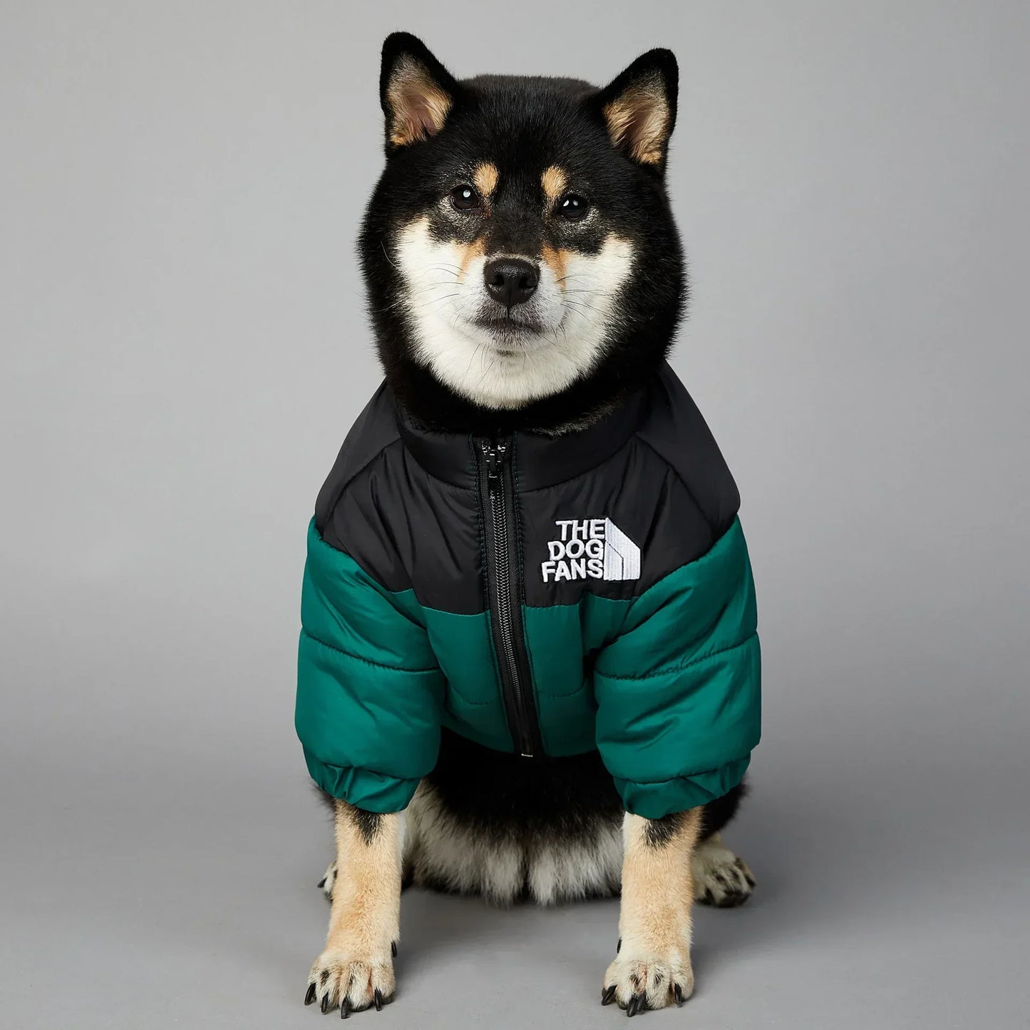 CN Zhejiang Winter Dog Down Jacket Cozy Thick Insulated Coat