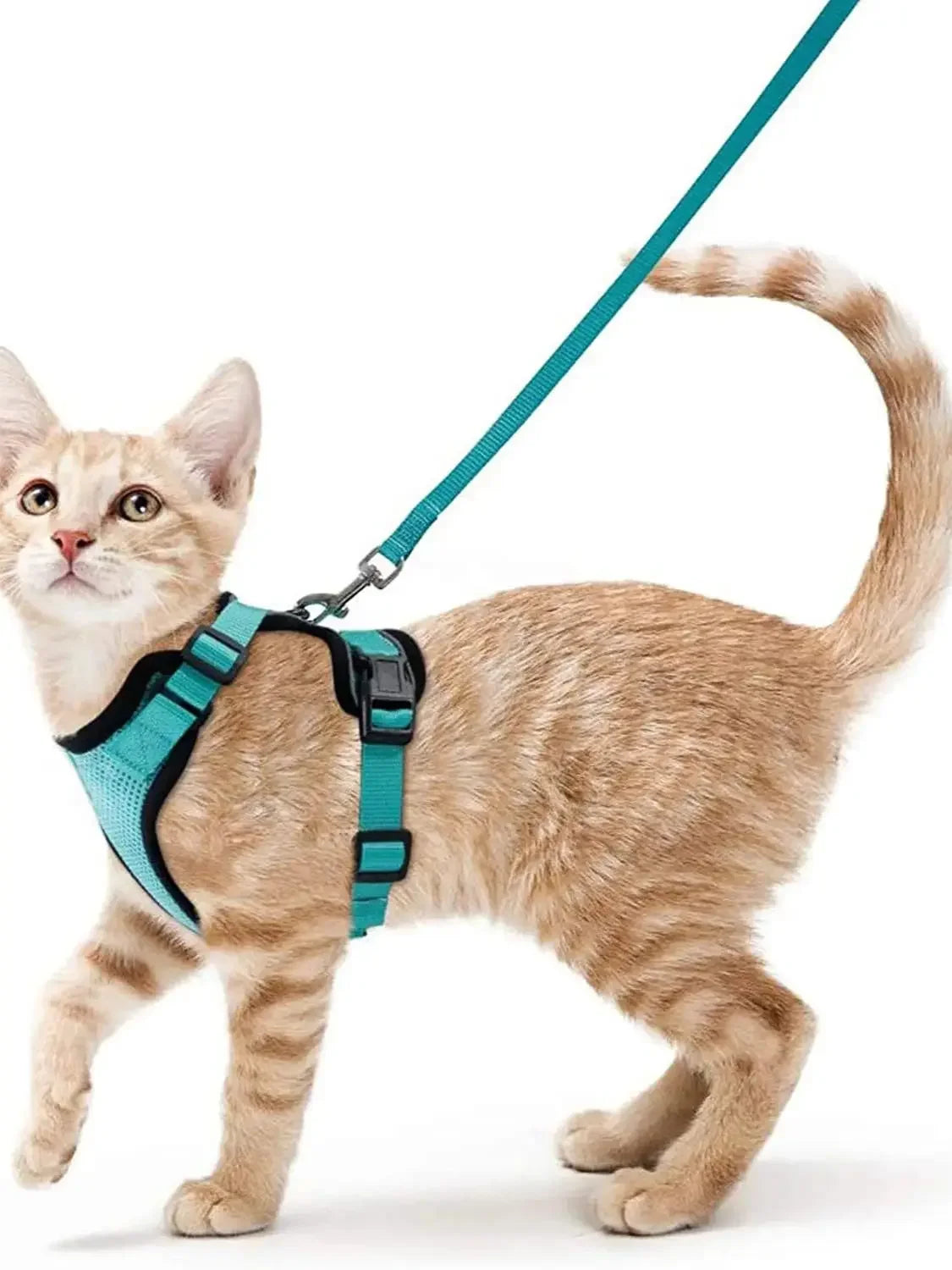 Cat Harness and Leash for Walking Escape Proof Adjustable Vest
