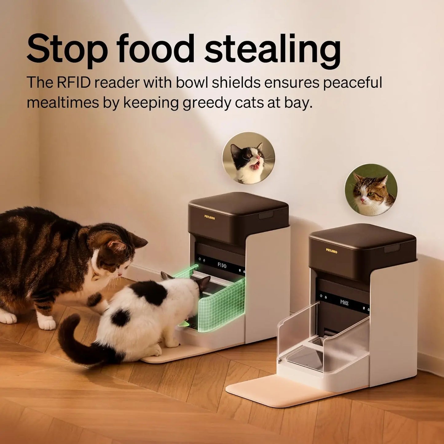 RFID Automatic Cat Feeder with Wi-Fi, Personalized Meals via Collar Tag, Diet Tracking for Multi-Pet Homes