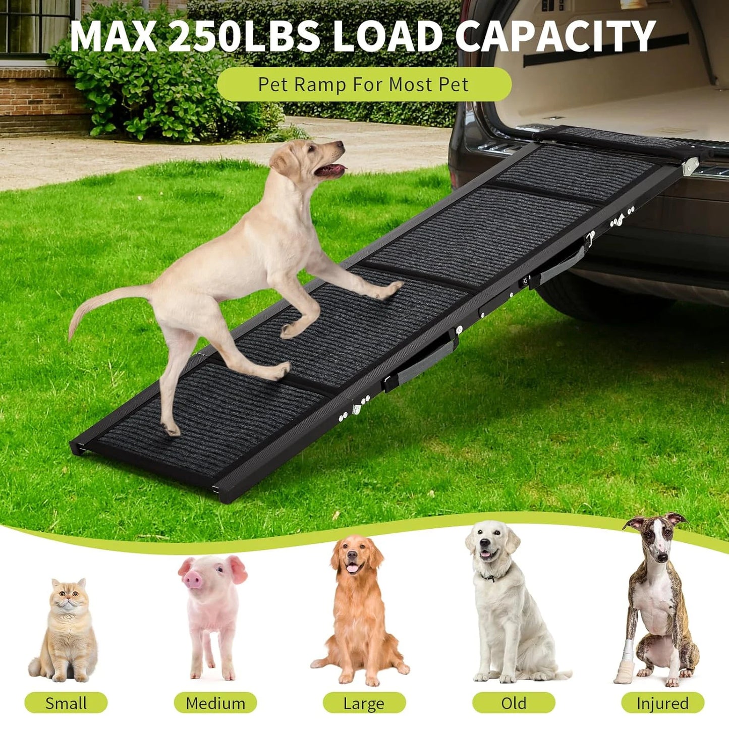 DishyKooker Folding Dog Ramp for Cars with Non Slip Surface