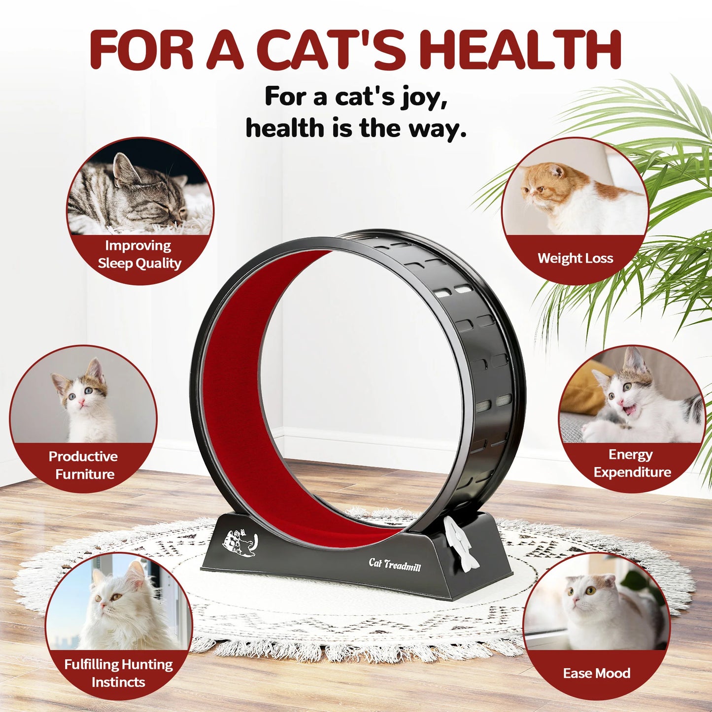 Cat Wheel for Indoor Cats Large Exercise Running Wheel Cat Treadmill with Brake & Carpeted Runway, Easy to Install & Fitness & Health