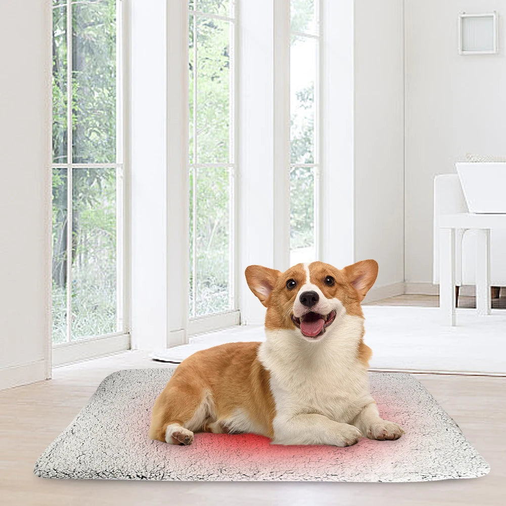 Self-Warming Cat Bed Pad Self-Heating Thermal Cat Dog Bed Mat Washable Pet Sleeping Mat Comfortable for Indoor Cats & Small Dogs