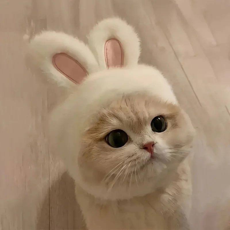 1pc Bunny Ears Cat Hat Themed Pet Costume Knit Fabric Set Comfortable Polyester Pullover Headwear for Cats & Small Dogs