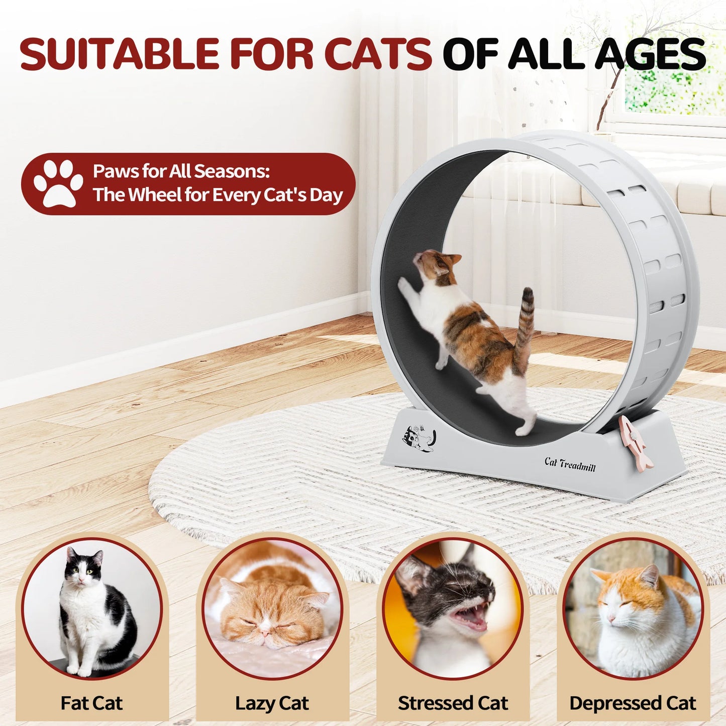 Cat Wheel for Indoor Cats Large Exercise Running Wheel Cat Treadmill with Brake & Carpeted Runway, Easy to Install & Fitness & Health