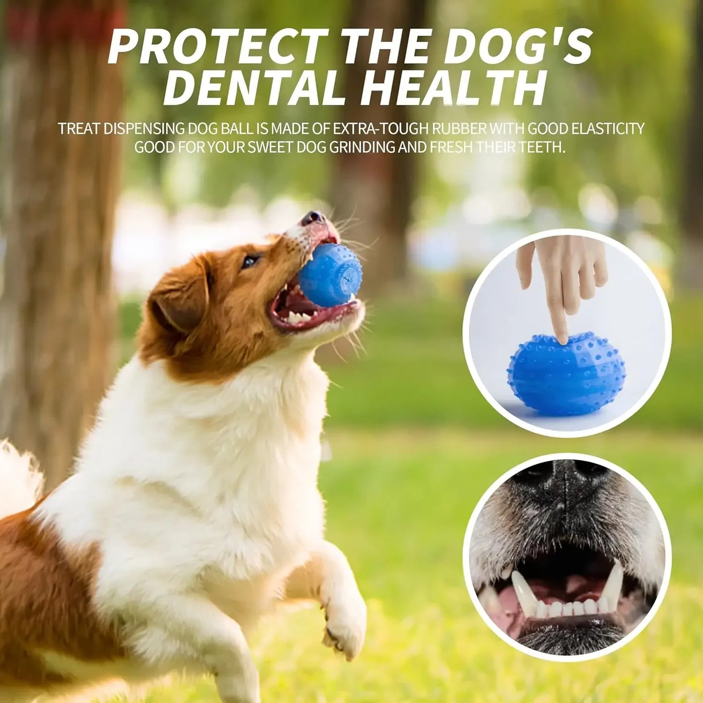 Summer Dog Chew Toys Teething Balls Durable Frozen Puppy Rubber Bone Toys Teeth Cleaning Bones Chewing Training Pet Supplies